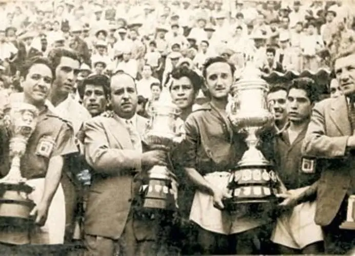 Descripción de la imagen 4