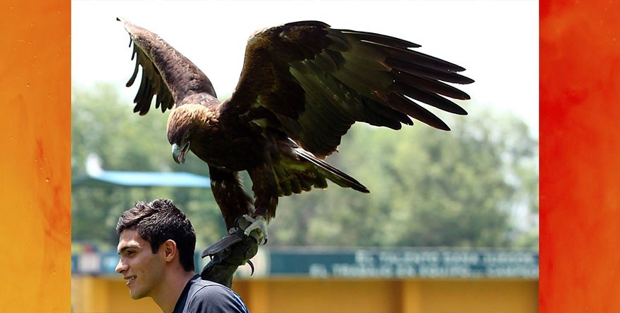SERÍA RAÚL JIMÉNEZ FELIZ DE VOLVER AL AMÉRICA
