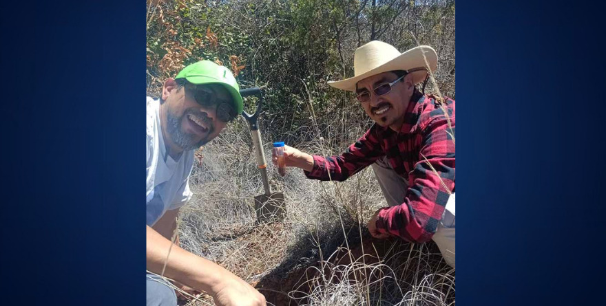 MICROORGANISMOS QUE REVOLUCIONAN LA AGRICULTURA