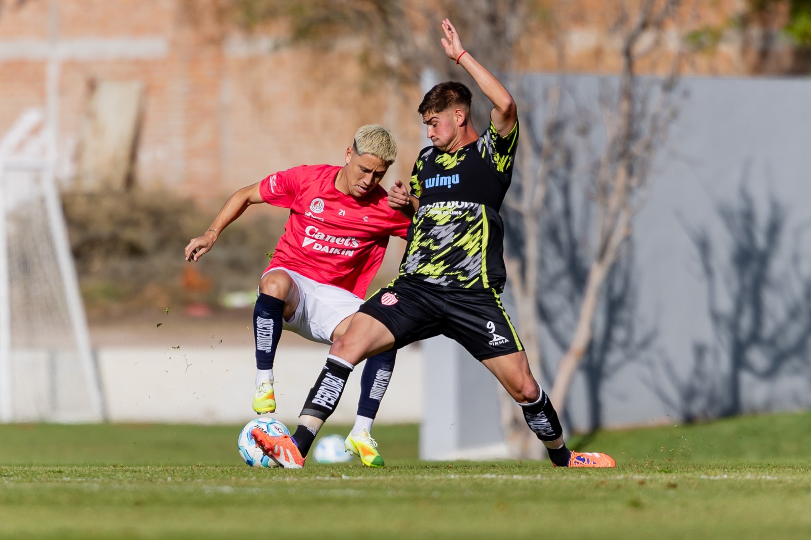 Ley Bosman: La Revolución del Fútbol Sudamericano