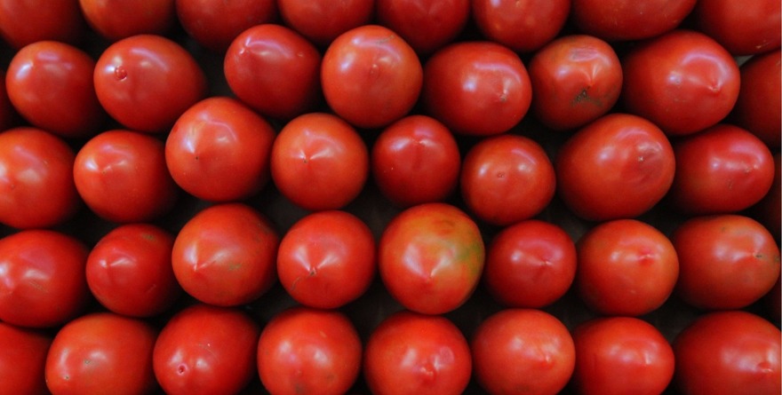 Y CAEN EXPORTACIONES DE AGROINDUSTRIA 11%