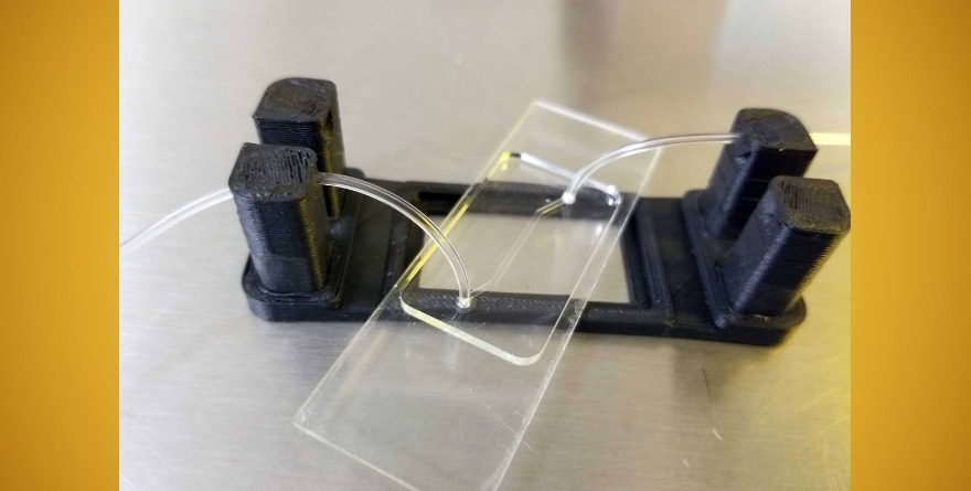 HÍGADO HUMANO EN UN CHIP, AVANCE CLAVE DE LA UNAM