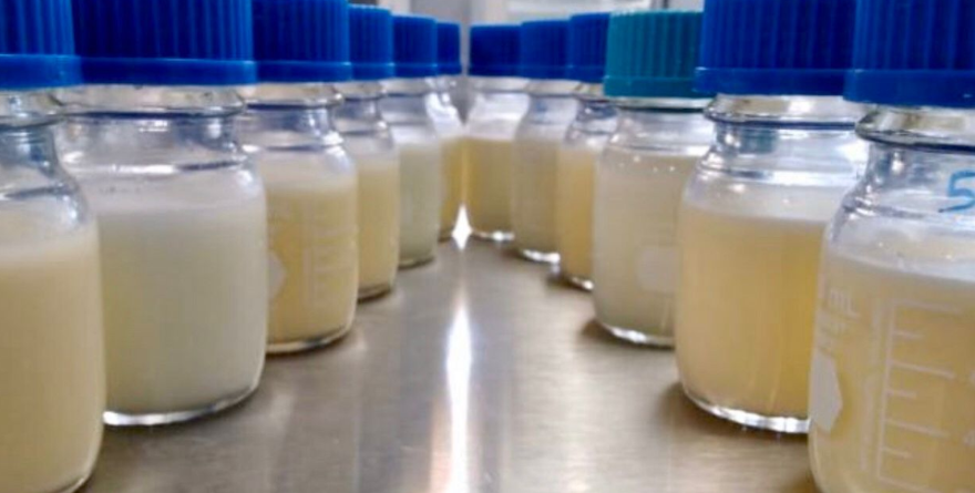 LÍDER NACIONAL EN APOYO A LA LACTANCIA EN EL TRABAJO