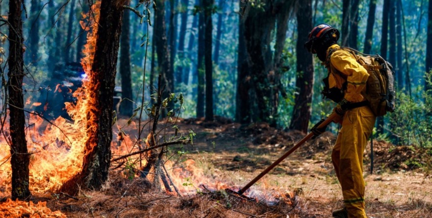 LLAMAN A PREVENIR INCENDIOS FORESTALES