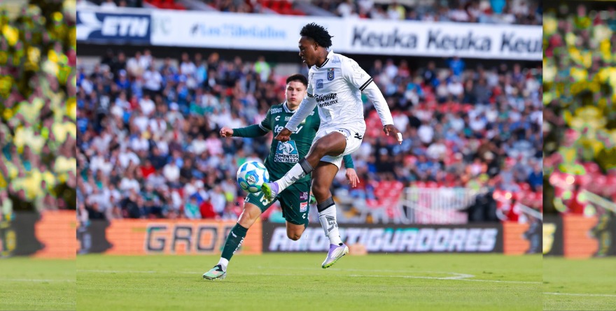 CANTAN GALLOS SOBRE LEÓN