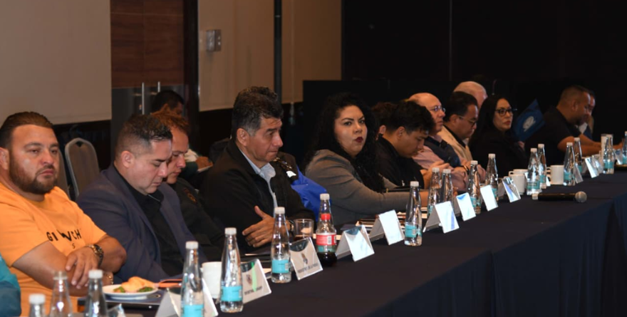 IMPULSO PREMIER: CAPACITACIÓN Y PROFESIONALISMO