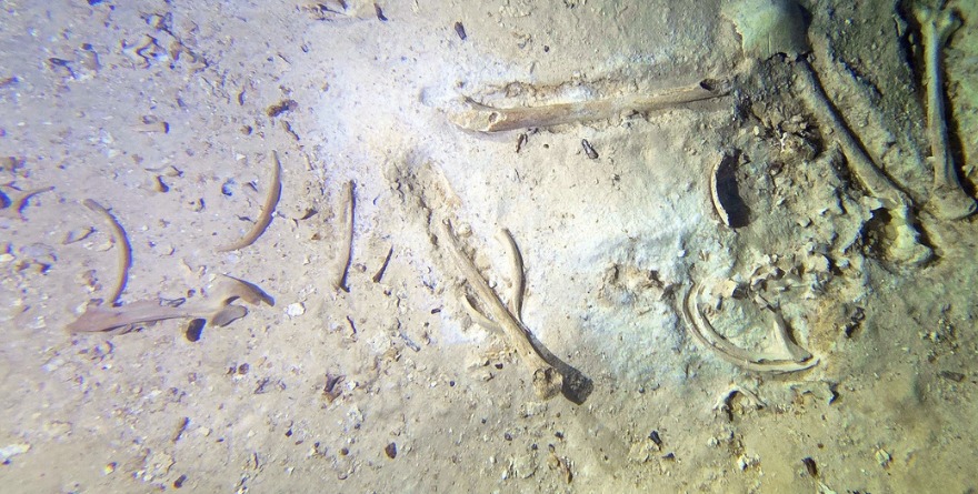 ESTUDIAN FÓSIL HUMANO DE 8 MIL AÑOS