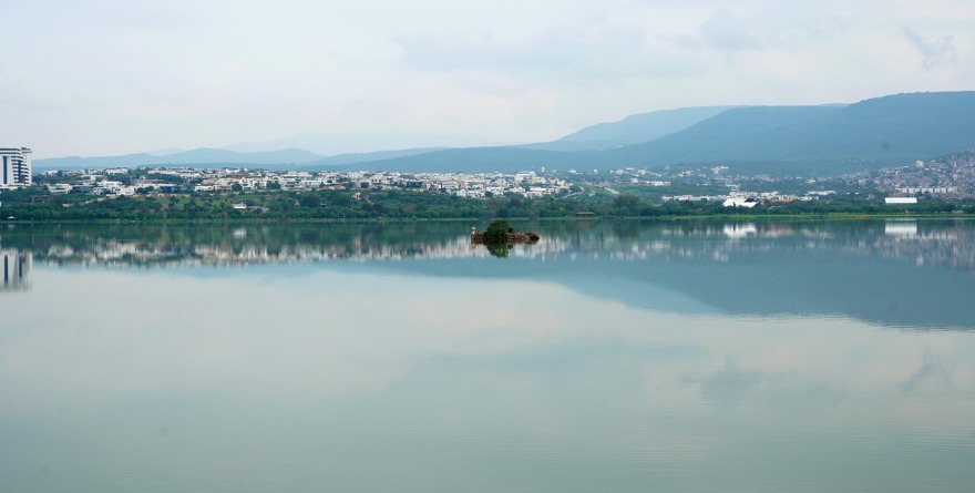 SED EN LEÓN: EL PALOTE EN CRISIS
