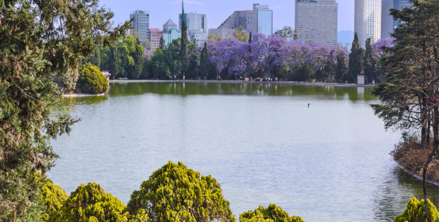 SUMÉRGETE EN CHAPULTEPEC CON ARTE, MÚSICA Y MAGIA NATURAL
