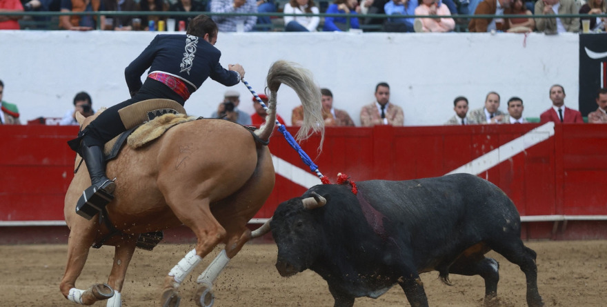 IMPULSA MORENA PROTEGER LA TAUROMAQUIA, PALENQUES…
