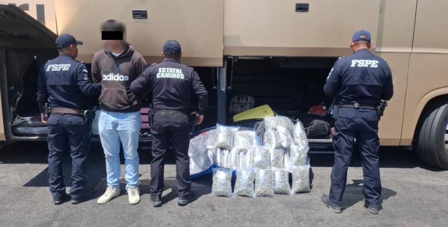 FRENAN TRÁFICO DE DROGA EN BUS