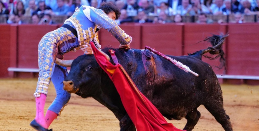 ANDRÉS ROCA REY ES CORNEADO DURANTE FAENA EN SEVILLA