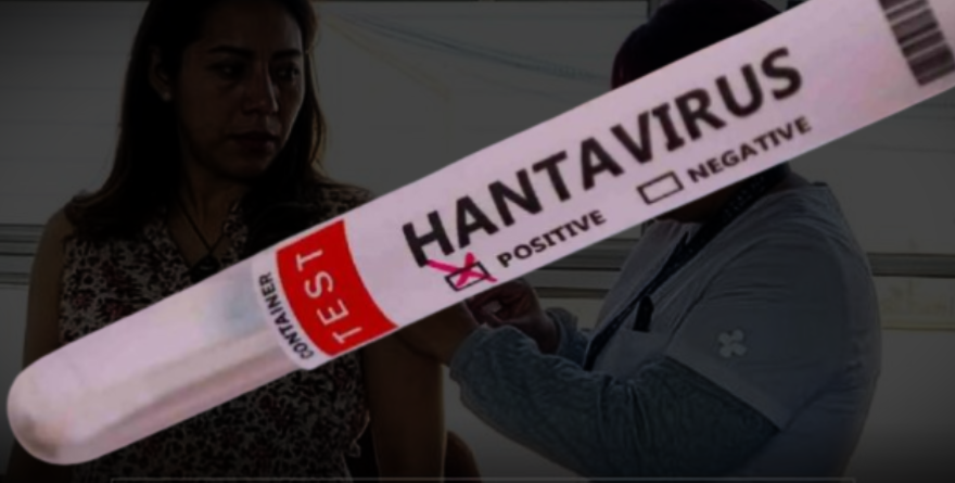 EMITE SSA AVISO EPIDEMIOLÓGICO POR HANTAVIRUS