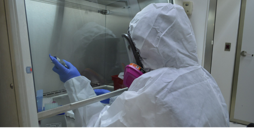 GUANAJUATO ACTIVA VIGILANCIA POR BROTE INTERNACIONAL DE ÉBOLA