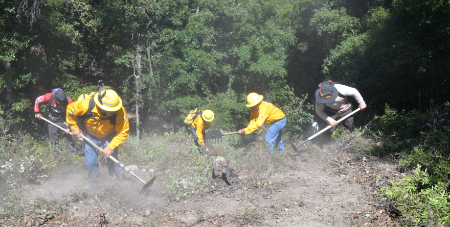 BARRERA CONTRA INCENDIOS EN EL PERALILLO