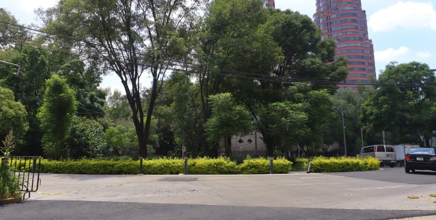 RESCATAN DE PLAGAS AL 90% DE ARBOLADO EN POLANCO
