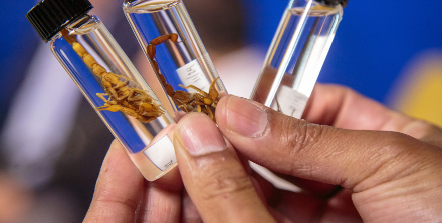 BLINDAN A GUANAJUATO CONTRA EL DENGUE CON PROTOCOLOS DE ALTA ESPECIALIZACIÓN