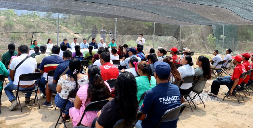 BUSCAN PRODUCIR PLANTAS FORESTALES Y FRUTALES EN LA REGIÓN