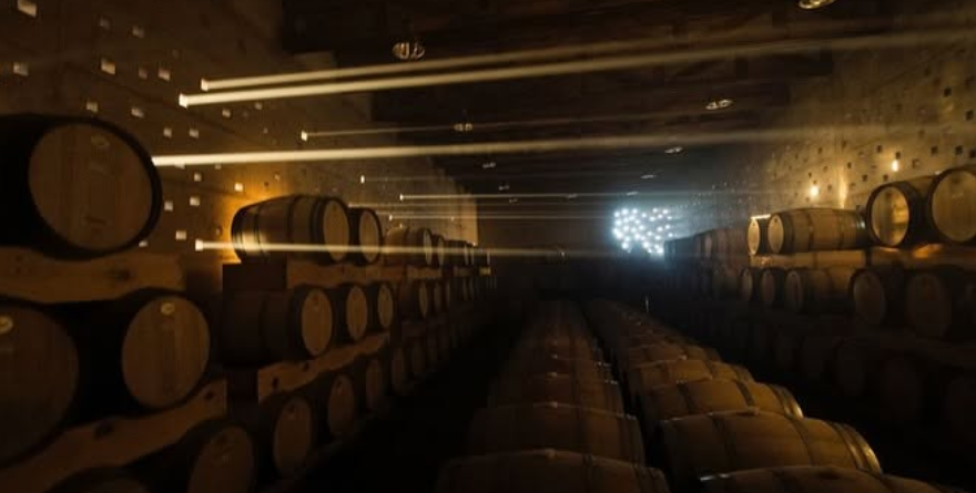 EL MEJOR VINO MEXICANO ES DE GUANAJUATO: TRIUNFO HISTÓRICO EN ARMENIA