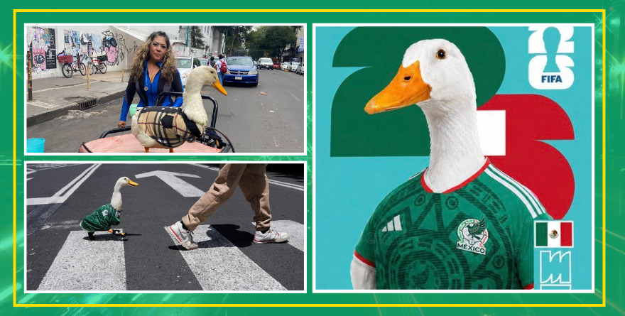 CONOCE A PATO MERLÍN: EL PERSONAJE VIRAL QUE CONQUISTÓ EL MUNDIAL