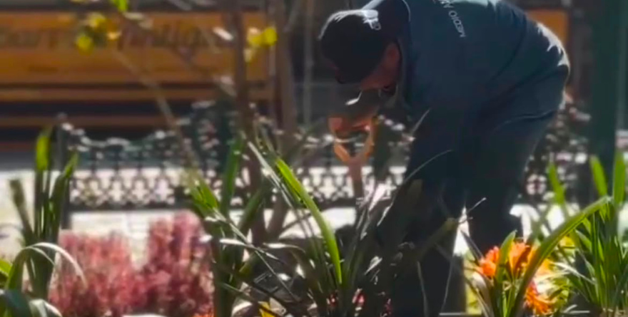 Pepe Chedraui promueve el cuidado y conservación del arbolado urbano en Puebla