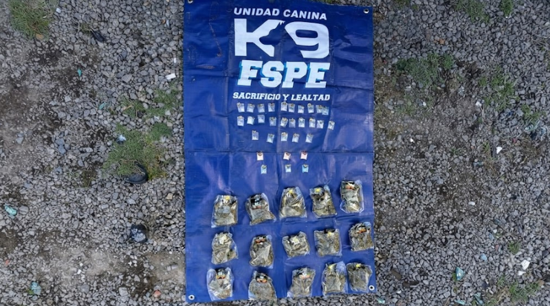 OPERATIVO K-9 FRUSTRA VENTA DE NARCÓTICOS