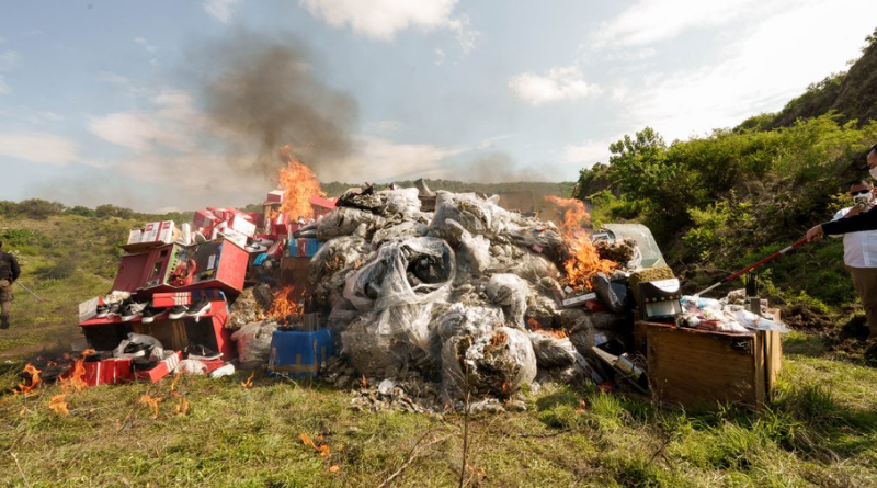 DESTRUYEN DROGA Y BIENES DEL CRIMEN