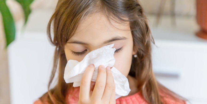 ALERGIAS EN VERANO, EL IMPACTO DE LA HUMEDAD EN TUS VÍAS RESPIRATORIAS