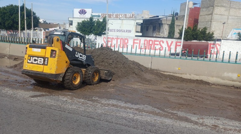CENTRAL DE ABASTO: INTENSA LIMPIEZA VIAL EN PROCESO