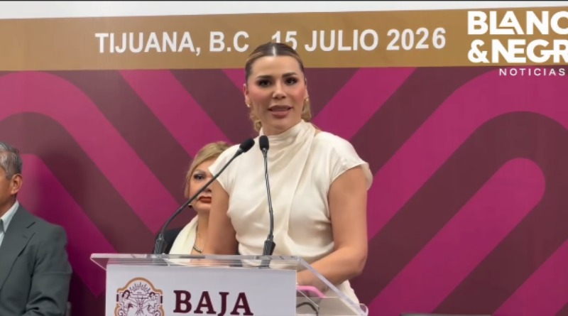 CREDIBILIDAD DE BONILLA CUESTIONADA POR MARINA: ‘¿USTEDES CREEN?’