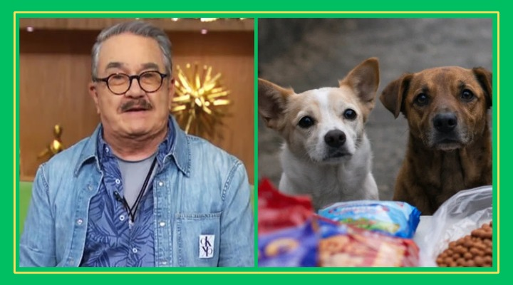 GRAVE ERROR DE PEDRITO SOLA LO LLEVA AL REFUGIO DE PERRITOS COMO CASTIGO