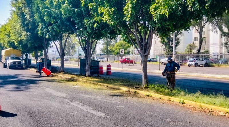 IMAGEN URBANA FORTALECIDA: PUEBLA COMPLETA RENOVACIÓN DE CAMELLONES