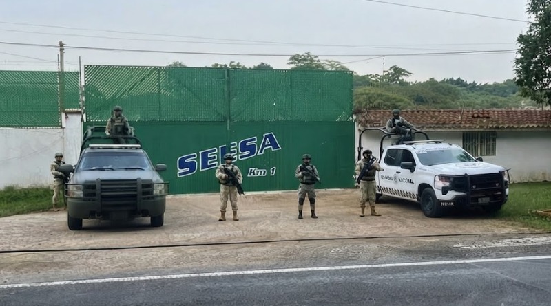 LOCALIZAN EN VERACRUZ CENTRO DE ALMACENAMIENTO DE HUACHICOL