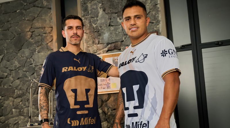 NUEVA PIEL DE PUMAS SALE A LA LUZ