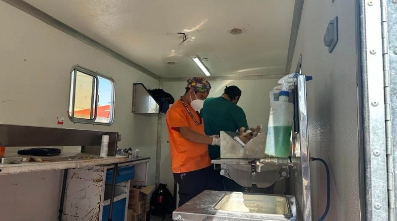 PUEBLA CONCLUYE CAMPAÑA CON 18 MIL ESTERILIZACIONES GRATUITAS DE MASCOTAS