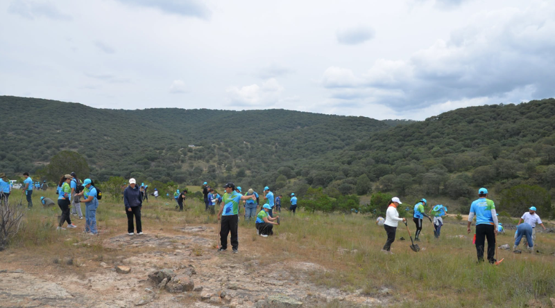JÓVENES REFORESTAN SIERRA DE LOBOS