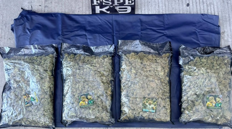K9 “MOR” DETECTA DOS MIL DOSIS DE DROGA EN LEÓN