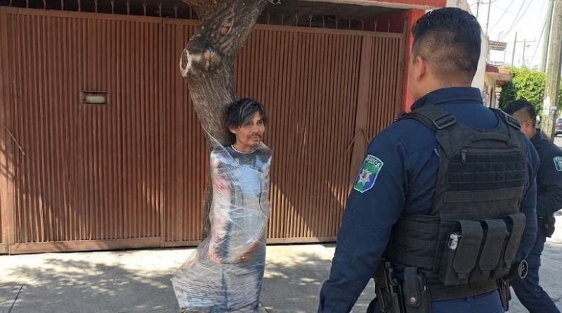 EMPLAYAN A PERSONA EN UN ÁRBOL DE LA CDMX