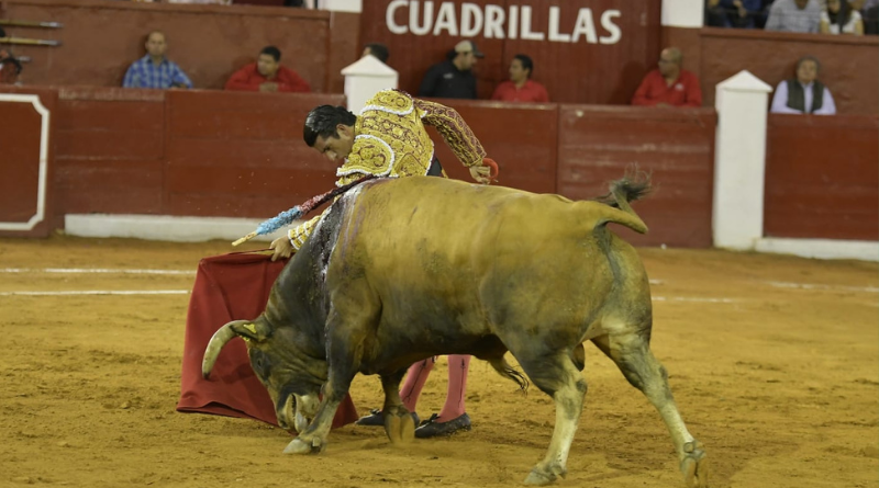 JOSÉ MAURICIO Y CALITA CORTAN UNA OREJA EN CIERRE DE FERIA