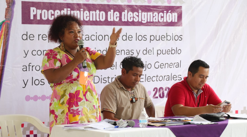 LA REPRESENTACIÓN POLÍTICA QUE EL PUEBLO AFROMEXICANO EXIGE HOY