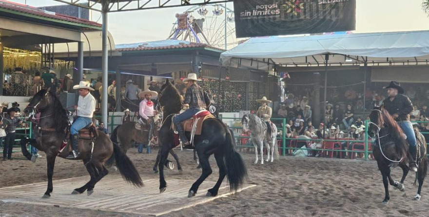 LOS INCREÍBLES CABALLOS BAILADORES ARRASAN POR DOQUIER