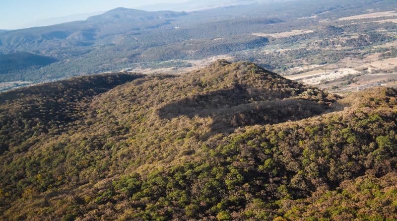 MOVIMIENTO POR CONVERTIR AL TEPOPOTE EN ÁREA PROTEGIDA