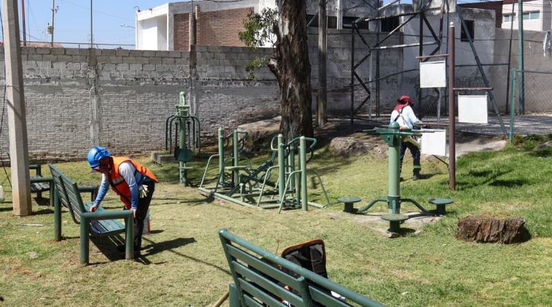 PUEBLA INCREMENTA ESFUERZOS DE PODA Y LIMPIEZA EN SUS PARQUES