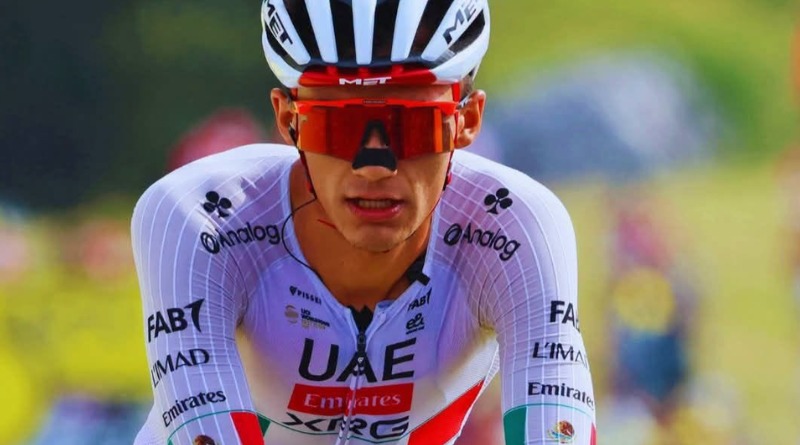 REGRESA EL TORO A HAMBURGO Y A SUS ANDADAS