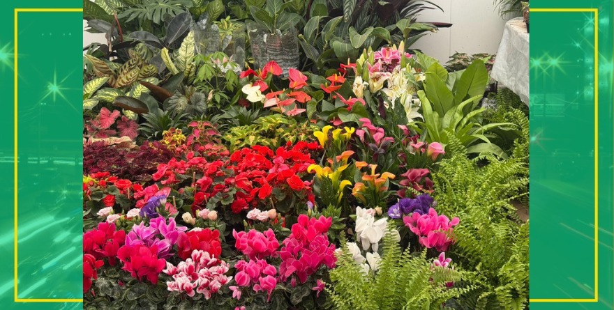 SE INAUGURA LA FERIA DE LAS FLORES EN FENAPO