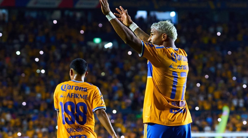 TIGRES FESTEJA LA LLEGADA DEL TRIUNFO