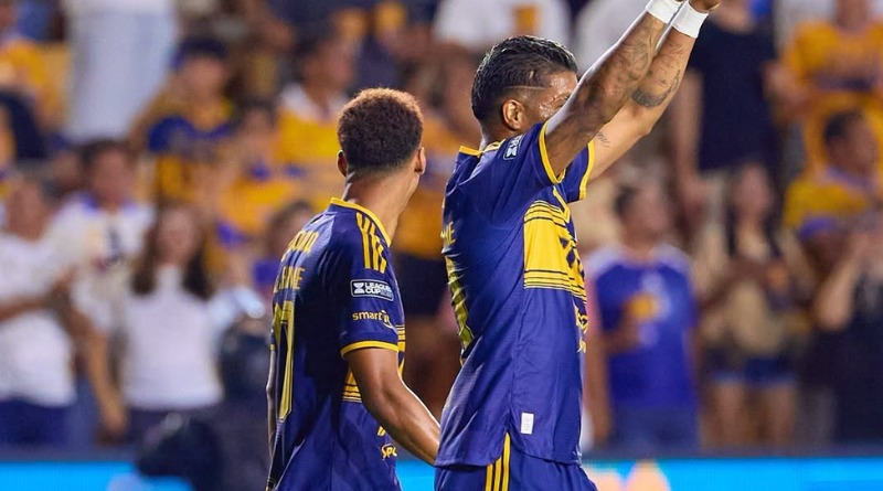 TIGRES NO SUELTA SU ÚLTIMA ESPERANZA