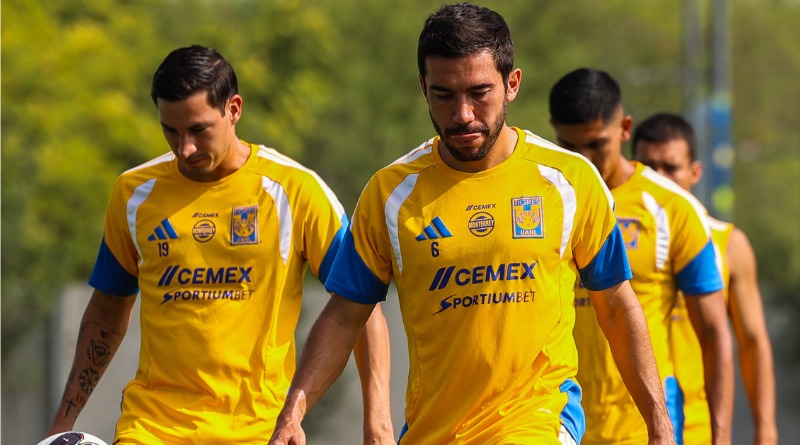 TIGRES TIENEN QUE SACAR SU MEJOR VERSIÓN
