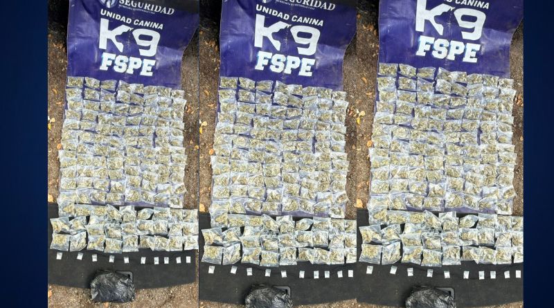 DETECTA BINOMIO CANINO “EVETK” MÁS DE MIL DOSIS DE PRESUNTA DROGA EN LEÓN