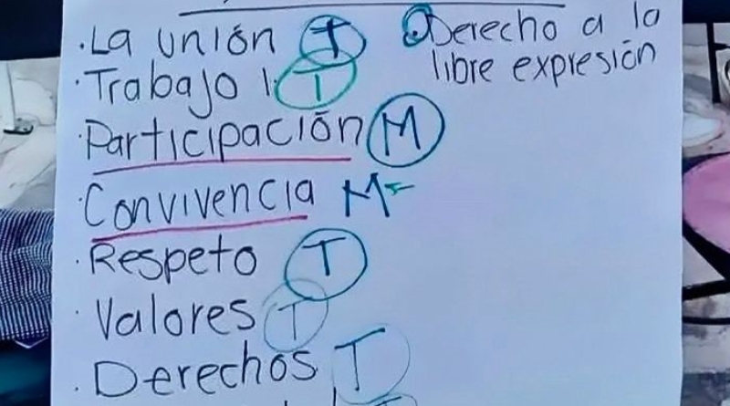 IMPULSAN LA INCLUSIÓN DE MUJERES AFROMEXICANAS